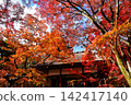 秋葉點綴著常寂光寺的寺門。 142417140