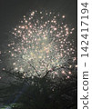 愛知縣豐橋市祗園祭的煙火秀！ 142417194