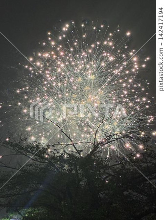愛知縣豐橋市祗園祭的煙火秀! 愛知縣豐橋市祗園祭的煙火秀! 142417194