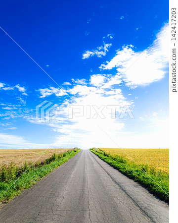 北海道美瑛市初秋的簡單景色,湛藍的天空和筆直的道路。 北海道美瑛市初秋的簡單景色,湛藍的天空和筆直的道路。 142417203