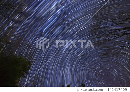 The Starry Forest and the North Star The Starry Forest and the North Star 142417409
