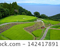 Terraced rice fields on Sado Island, Japan 142417891