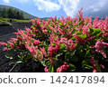 Meigetsusou on the Mt. Fuji climbing trail 142417894