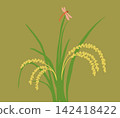 秋季稻稈和紅色蜻蜓的插圖 142418422