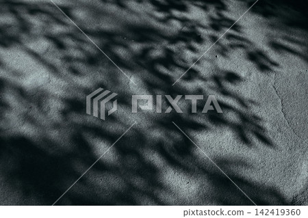 shadow of a tree on the ground shadow of a tree on the ground 142419360