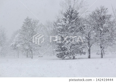 Snowstorm Snowstorm 142419444