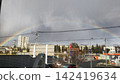 Rainbow  142419634