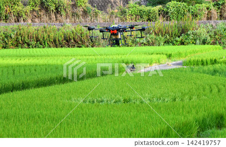 Pesticide spraying by drone Pesticide spraying by drone 142419757