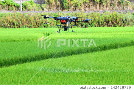 Pesticide spraying by drone Pesticide spraying by drone 142419759