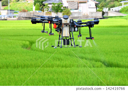 Pesticide spraying by drone Pesticide spraying by drone 142419766