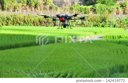 Pesticide spraying by drone 142419772