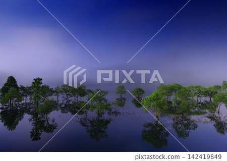 清晨寧靜的湖面 清晨寧靜的湖面 142419849