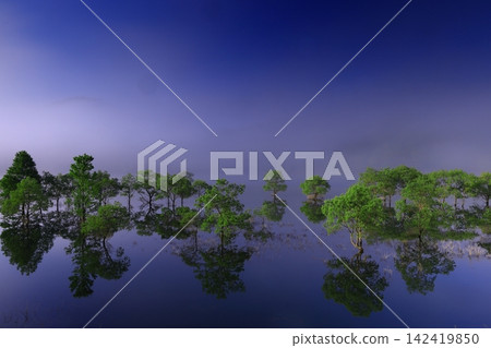 清晨寧靜的湖面 142419850