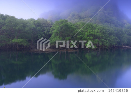 quiet lake at dawn quiet lake at dawn 142419856