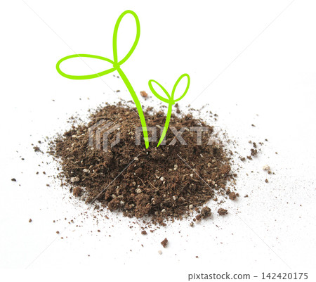 Illustration of soil and small sprouts Illustration of soil and small sprouts 142420175