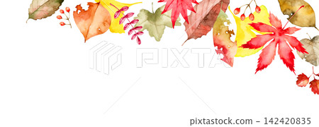 Autumn leaves, fallen leaves, background, frame, watercolor illustration Autumn leaves, fallen leaves, background, frame, watercolor illustration 142420835
