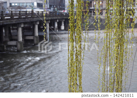 Willow trees and the streets of Kyoto on a rainy day, by the river Willow trees and the streets of Kyoto on a rainy day, by the river 142421011