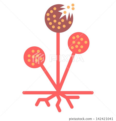 Rhizopus Mold Fungus Microscopic Structure and Spores Vector Illustration Rhizopus Mold Fungus Microscopic Structure and Spores Vector Illustration 142421041