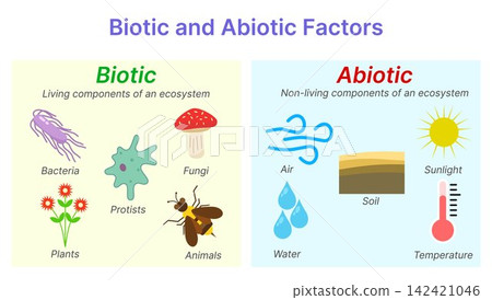 Biotic and Abiotic Factors Comparison Diagram in Ecosystem Biotic and Abiotic Factors Comparison Diagram in Ecosystem 142421046