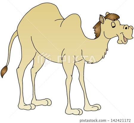 Hand-drawn animal illustration ☆ Camel 142421172