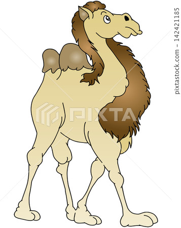 Hand-drawn animal illustration ☆ Camel Hand-drawn animal illustration ☆ Camel 142421185