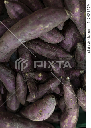 Pile Of Fresh Harvested Purple Yams Pile Of Fresh Harvested Purple Yams 142421279