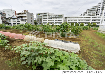 市中心住宅區旁設有體驗式農場和鬱鬱蔥蔥的菜園。 市中心住宅區旁設有體驗式農場和鬱鬱蔥蔥的菜園。 142421372