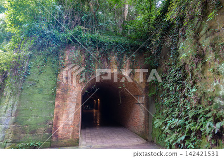 Sarushima, an uninhabited island that was formerly a military fortress. Sarushima, an uninhabited island that was formerly a military fortress. 142421531