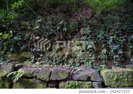 Sarushima, an uninhabited island that was once a military fortress, still bears the marks of bullets on its walls. Sarushima, an uninhabited island that was once a military fortress, still bears the marks of bullets on its walls. 142421537