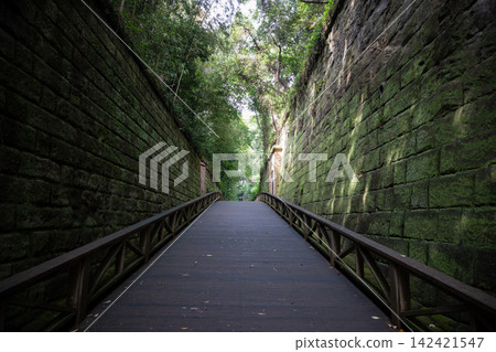 Sarushima, an uninhabited island that was formerly a military fortress. Sarushima, an uninhabited island that was formerly a military fortress. 142421547