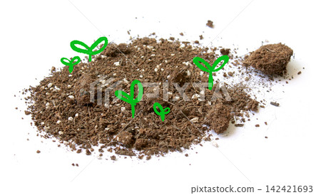 Illustration of soil and small sprouts Illustration of soil and small sprouts 142421693