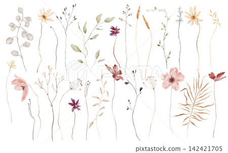 Hand-painted watercolor botanical clipart set of twenty-three isolated elements including lunaria seed pods, cosmos, anemones, baby's breath, wheat, palm leaf, wildflowers, grasses on white background Hand-painted watercolor botanical clipart set of twenty-three isolated elements including lunaria seed pods, cosmos, anemones, baby's breath, wheat, palm leaf, wildflowers, grasses on white background 142421705