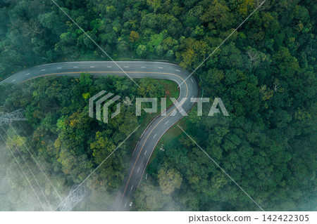 Serene nature background of a curved asphalt road in a dense green forest canopy, representing sustainable tourism and eco-friendly travel. 142422305