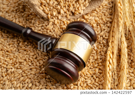 Judge gavel hammer with wheat ear grain from agriculture farm. Judge gavel hammer with wheat ear grain from agriculture farm. 142422597