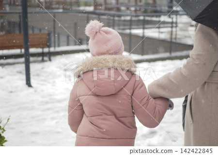 Snowy day at the park with a child and an adult Snowy day at the park with a child and an adult 142422845
