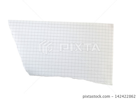 A regular torn fragment of a squared notebook sheet A regular torn fragment of a squared notebook sheet 142422862