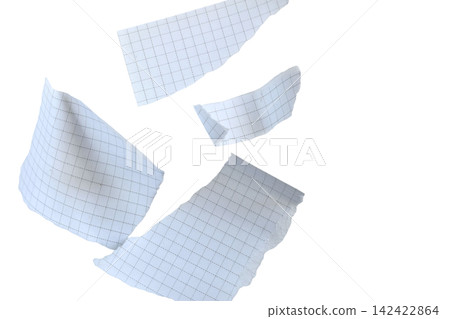 Torn fragments of a notebook sheet in a grid 142422864