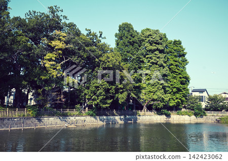 Himonya Park, Himonya Pond 142423062