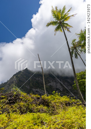 Mount Temetiu near Atuona, Hiva Oa, French Polynesia, Marquesas Islands 142423973