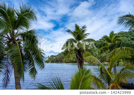 Coastline and Mountains on Tahaa Island, French Polynesia Coastline and Mountains on Tahaa Island, French Polynesia 142423999
