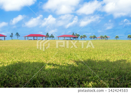 Toyosaki Seaside Park in Tomigusuku City, Okinawa Prefecture Toyosaki Seaside Park in Tomigusuku City, Okinawa Prefecture 142424583