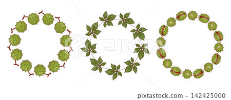 Autumn Chestnut Wreath Set. Botanical Circle Frame with Leaves and Brown Nuts In Spiky Green Husks. Isolated Round Blank Template for Postcard and Text Space. Colored Hand Drawn. Vector Illustration. Autumn Chestnut Wreath Set. Botanical Circle Frame with Leaves and Brown Nuts In Spiky Green Husks. Isolated Round Blank Template for Postcard and Text Space. Colored Hand Drawn. Vector Illustration. 142425000