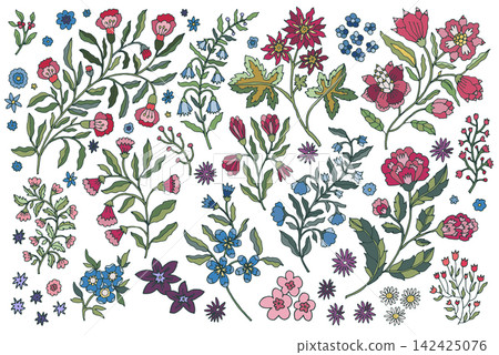 Hand Drawn Colorful Folk Botanical Branches Hand Drawn Colorful Folk Botanical Branches 142425076