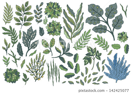 Folk Botanical Green Leaf Elements Set Folk Botanical Green Leaf Elements Set 142425077
