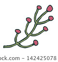 Minimalist Branch With Pink Round Berries 142425078
