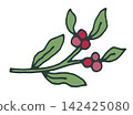 Simple Small Branch With Red Berries 142425080