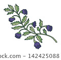 Purple Folk Floral Botanical Twig Element 142425088
