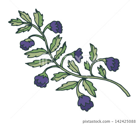 Purple Folk Floral Botanical Twig Element Purple Folk Floral Botanical Twig Element 142425088