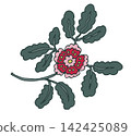 Hand Drawn Folk Jacobean Flower Motif 142425089