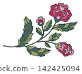 Stylized Pink Peony Folk Floral Branch 142425094